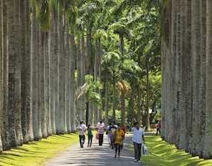 Giardini Botanici di Peradeniya