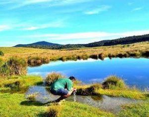 Parco Nazionale Horton Plains
