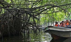 Safari nel fiume Madu Ganga
