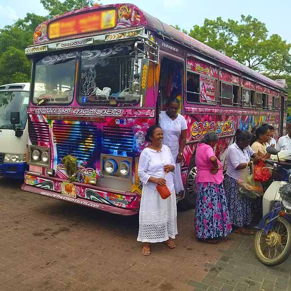 Bus Trip