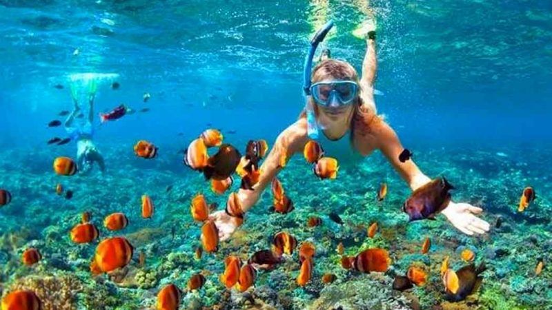 Explorando-las-Profundidades-Buceo-en-Sri-Lanka-3