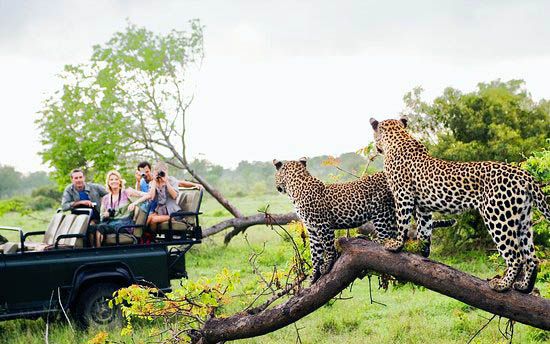 Viaggi in Sri Lanka new Sri Lanka en 8 días