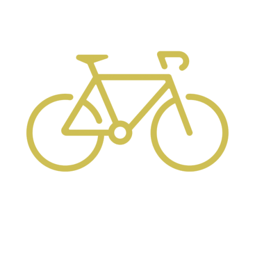 Bicycle rental